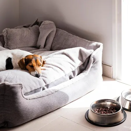 Sholeo Gigantes (adults Only) فندق