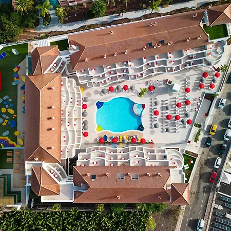 Sholeo Gigantes (adults Only)