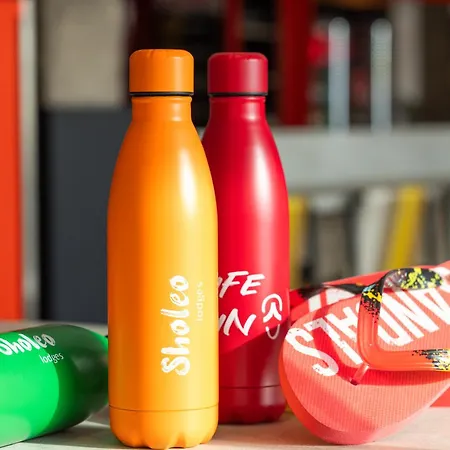 Sholeo Gigantes (adults Only)