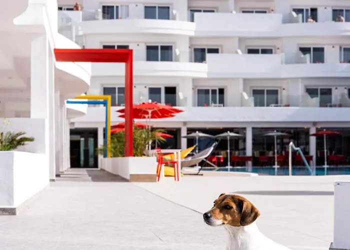 Отель Sholeo Gigantes (adults Only)