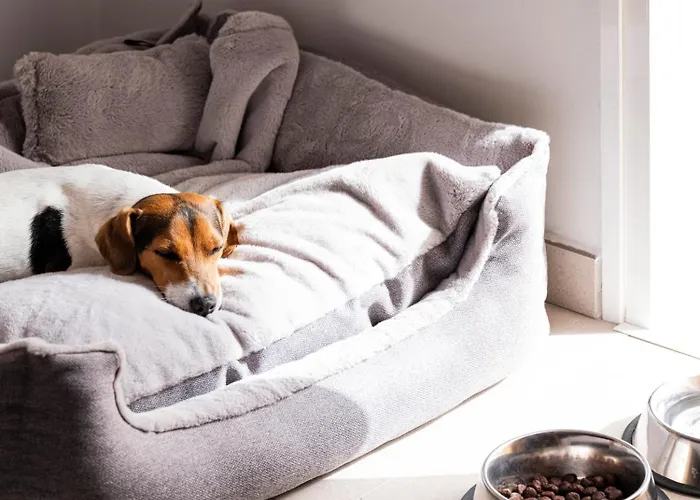 Sholeo Gigantes (adults Only) Отель